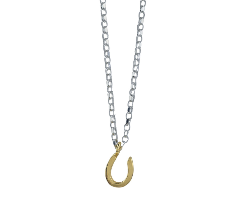 Silver Maxi Horseshoe Necklace