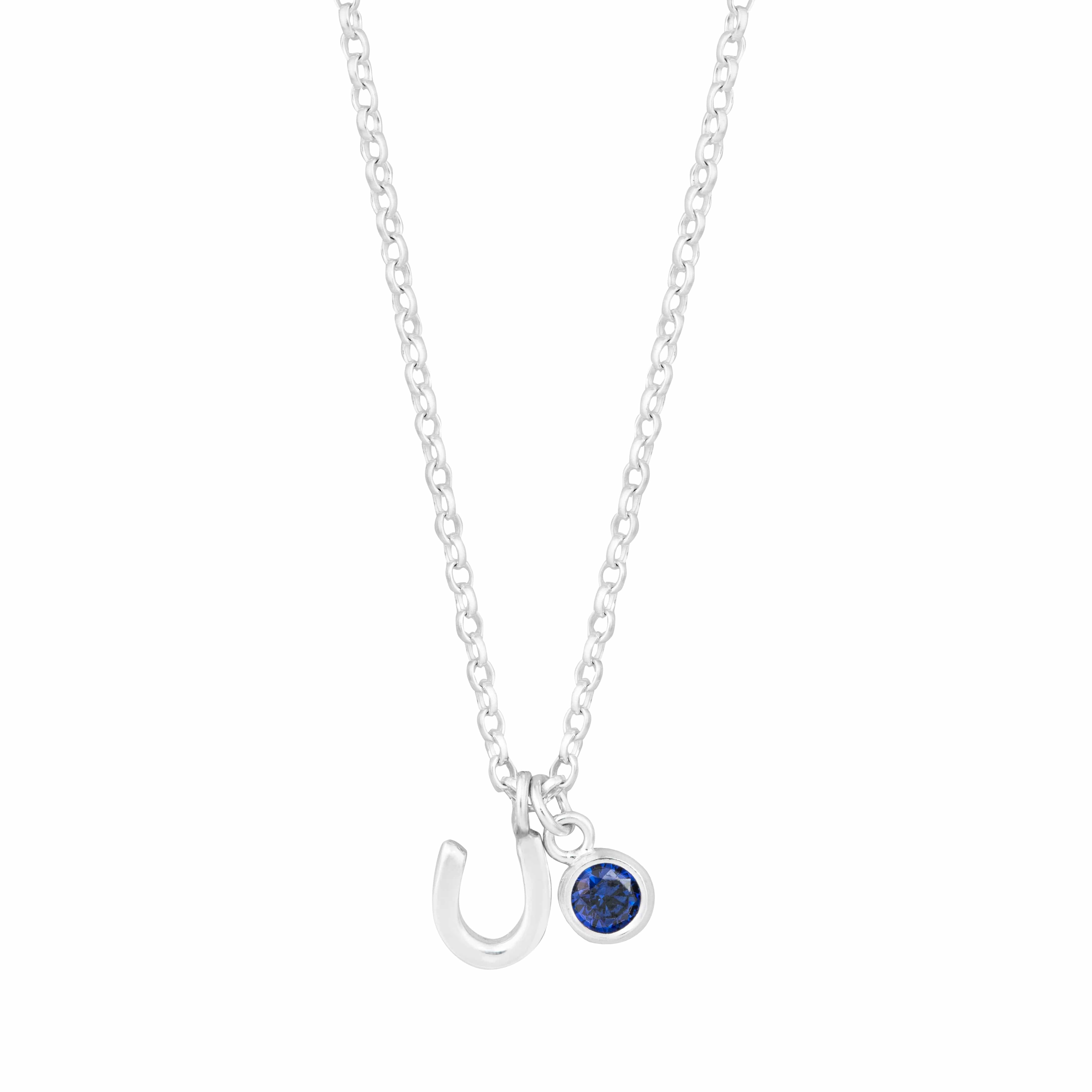 The Silver Stable- Handcrafted British Jewellery Birthstone & Silver Horseshoe Necklace necklace
